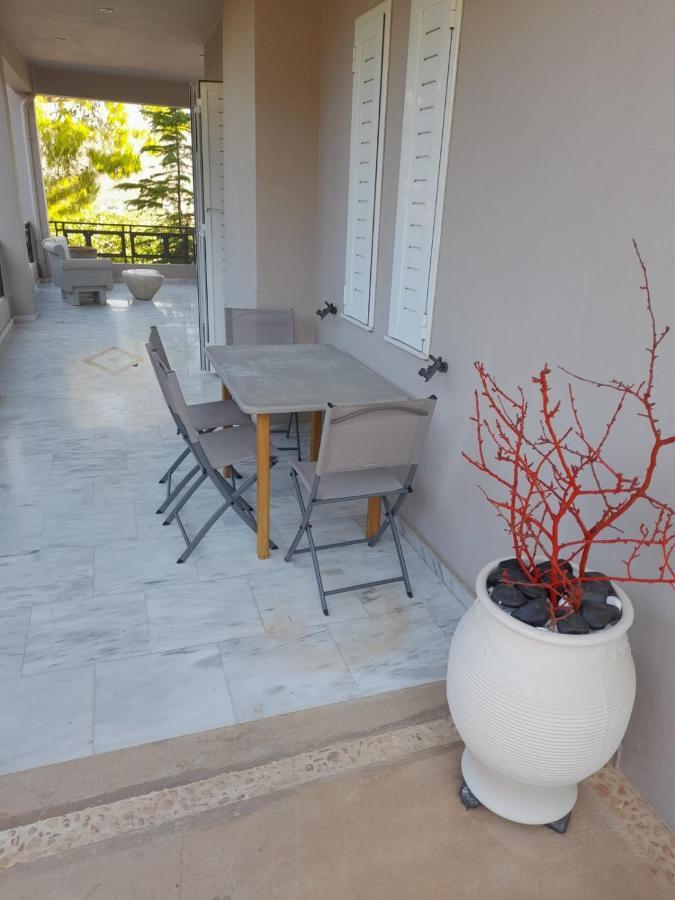 Suite With Garden Agia Marina  Экстерьер фото