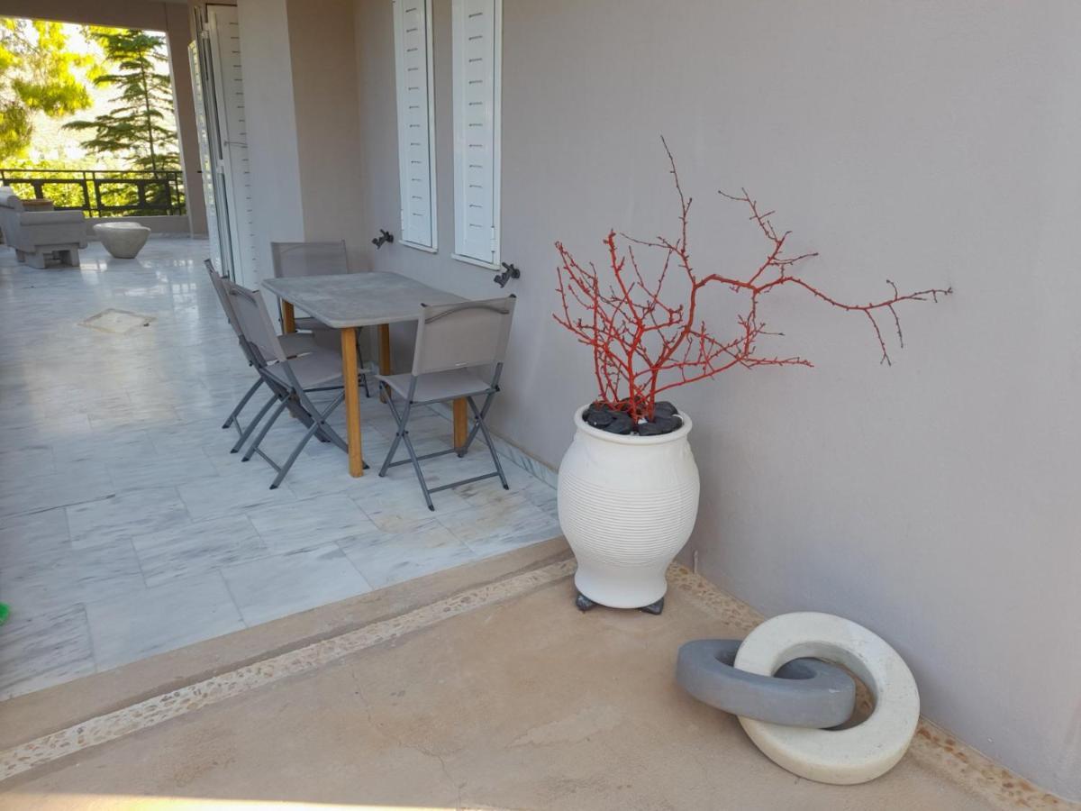 Suite With Garden Agia Marina  Экстерьер фото